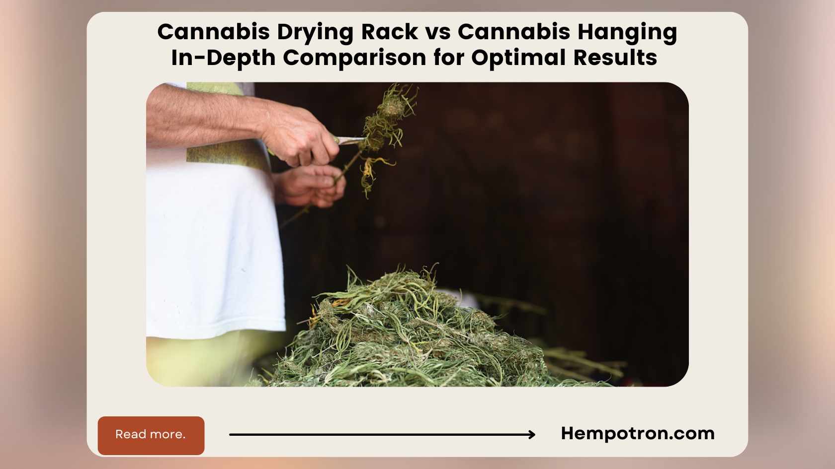 Cannabis Drying Rack vs Hanging InDepth Comparison for Optimal Results